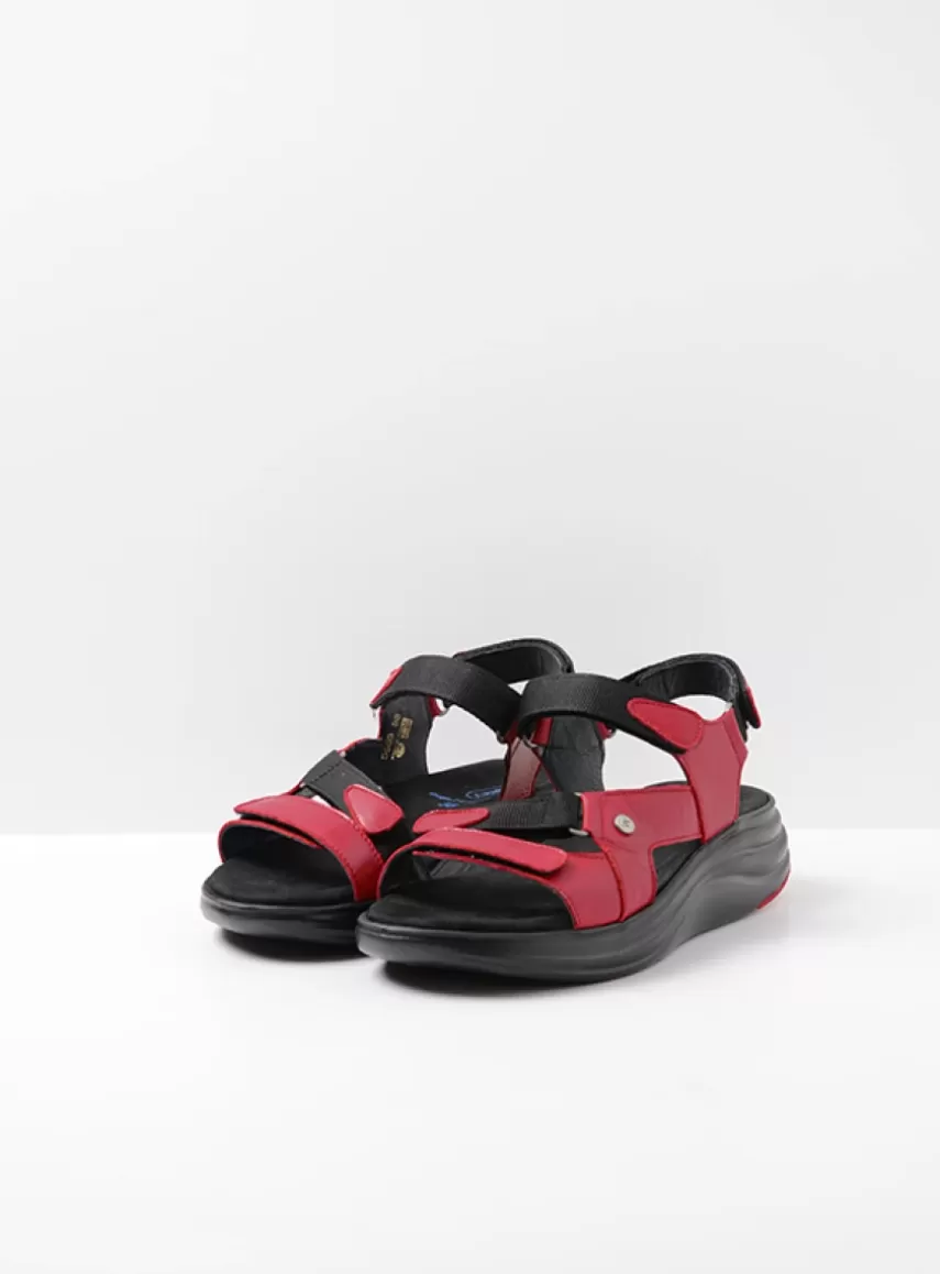 Hot Cirro DAMES Sandalen