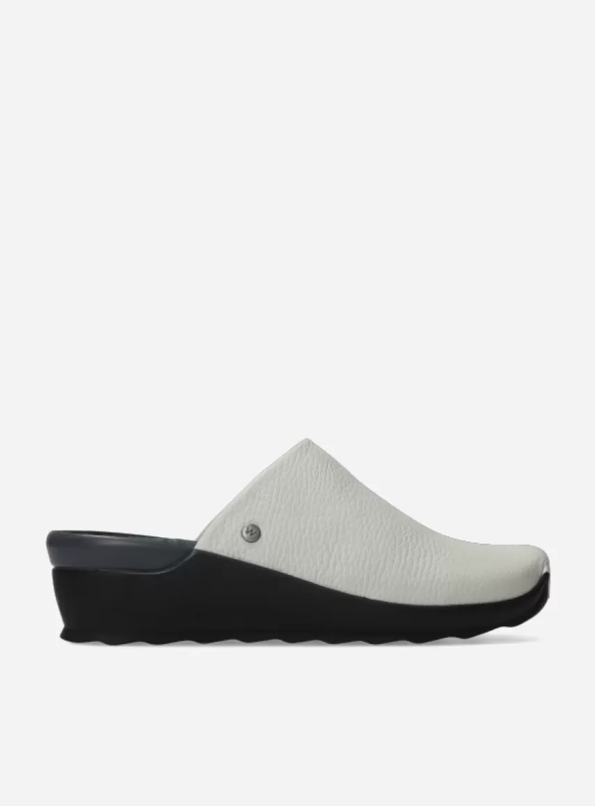 Discount Go DAMES Werkschoenen | Slippers