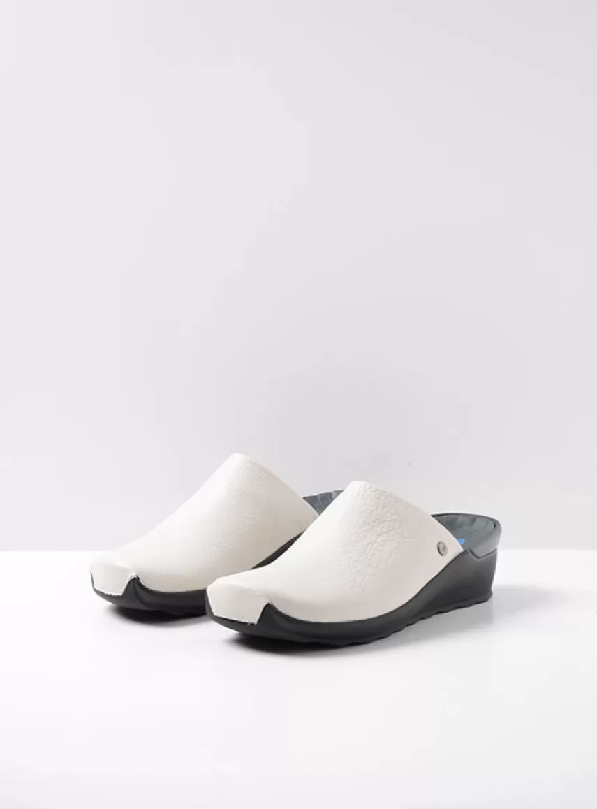 Discount Go DAMES Werkschoenen | Slippers