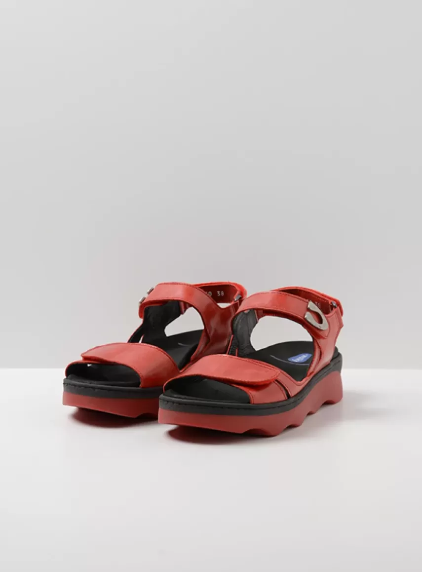 New Medusa DAMES Sandalen