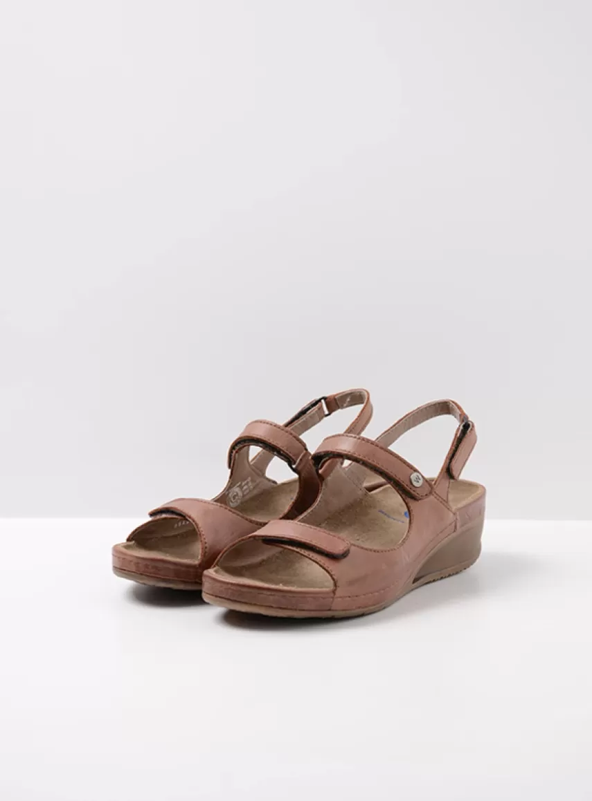 Online Shallow DAMES Sandalen