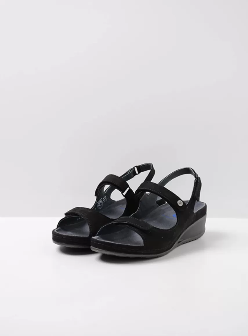 Online Shallow DAMES Sandalen