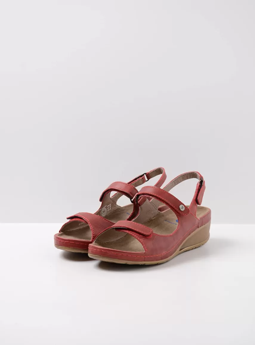 Online Shallow DAMES Sandalen